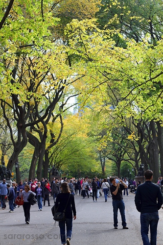 Fall in Central Park, New York City