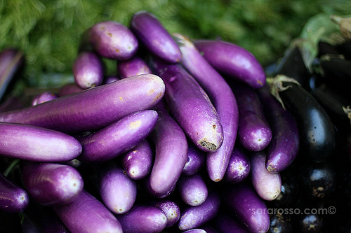 Eggplant, San Francisco Ferry Building Marketplace Farmer's Market