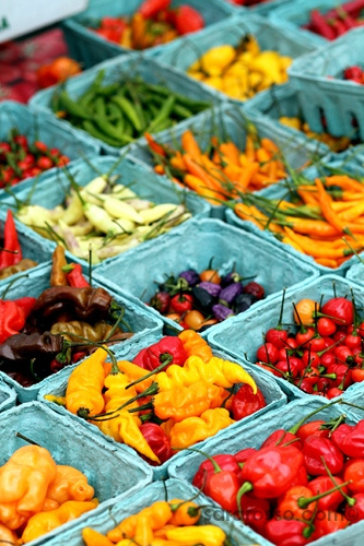 Hot Peppers in a New York City farmers market